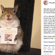 Illustration for article titled Saturday Night Social: Lets Look at These Famous Instagram Animals